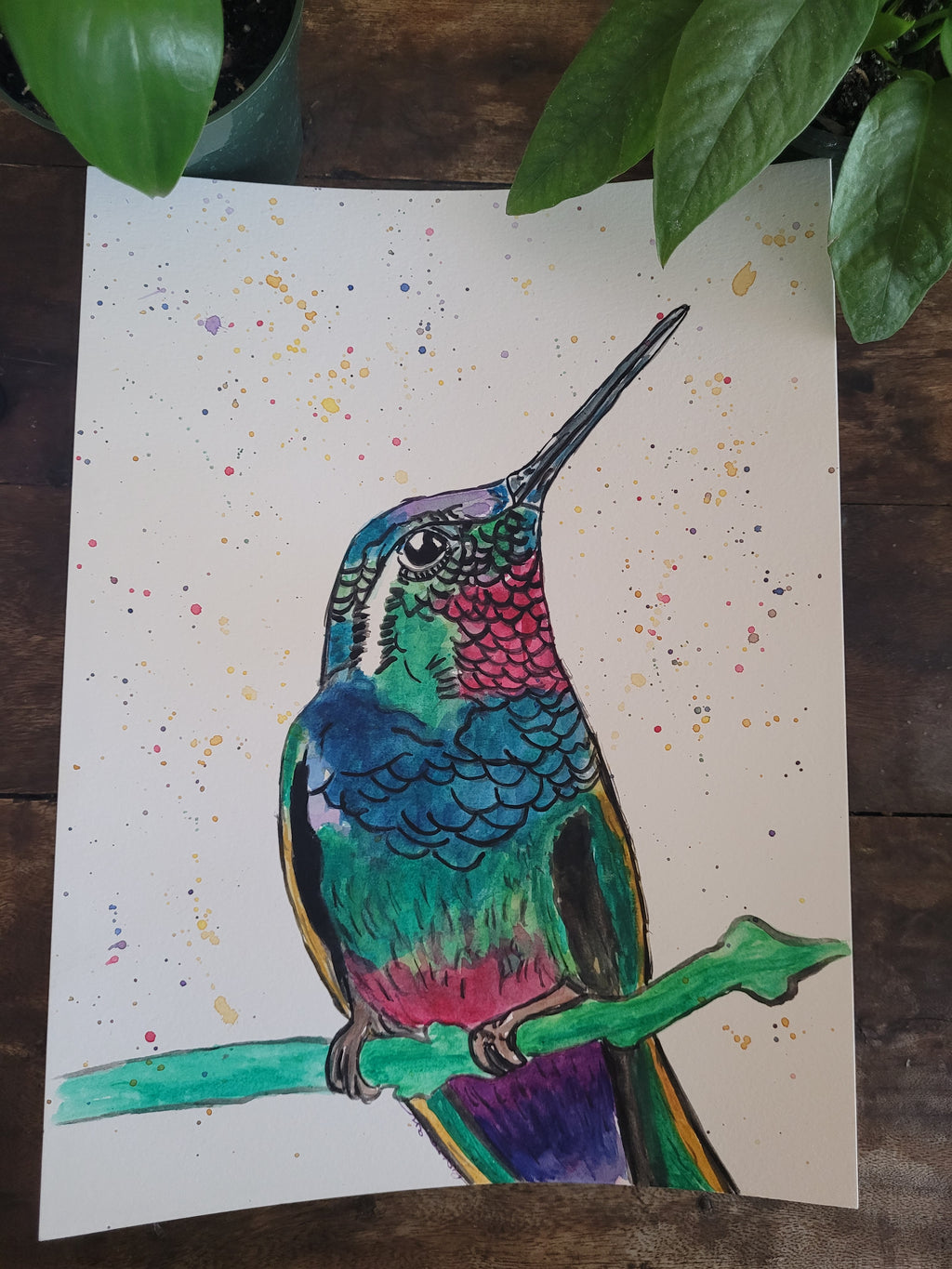 Hummingbird